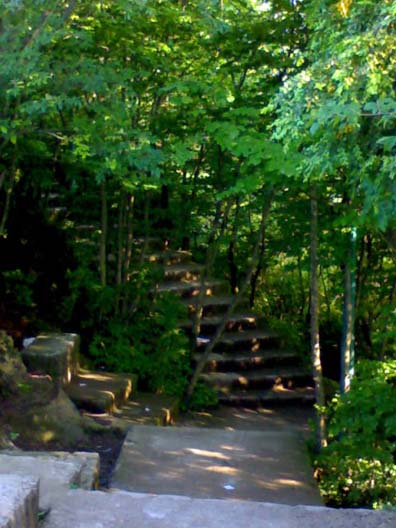 پله هایی که در دل کوه و بین طبیعت زیبایش جهت صعود به بام سبز لاهیجان تعبیه شده اند